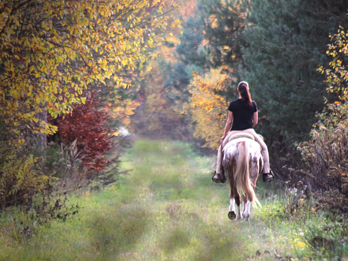 Horse riding in Castiglione