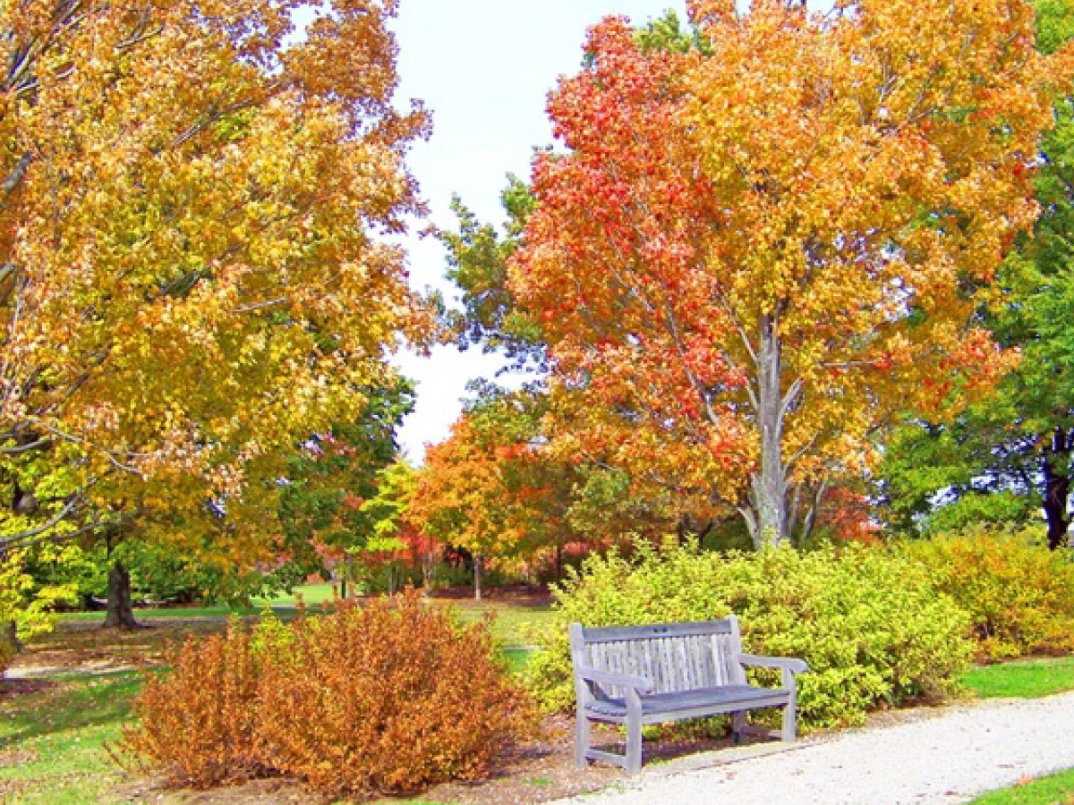 Het natuurpark van de Maremma