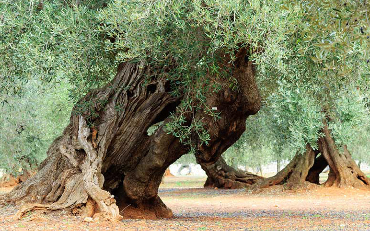 Religie en legenden in Maremma