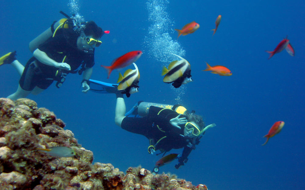 diving-maremma-1