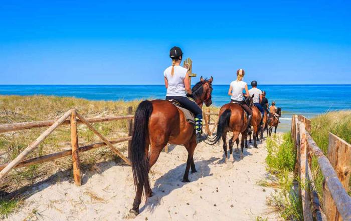 equitazione-maremma