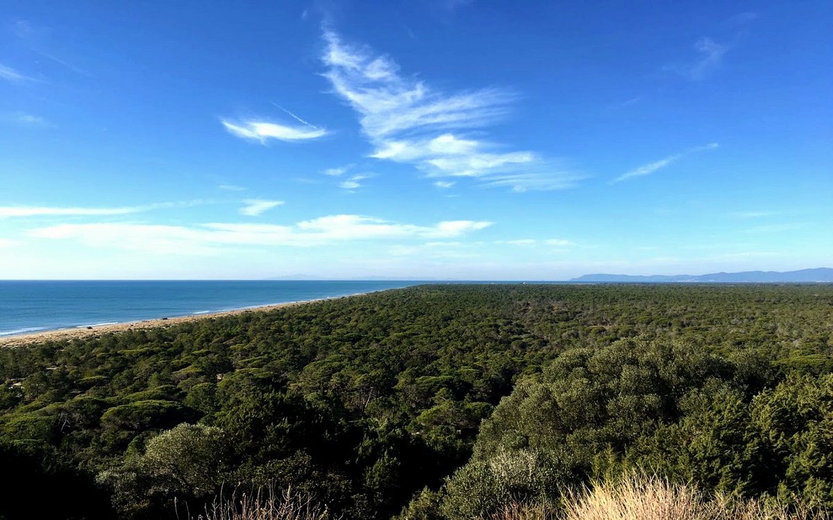 MAREMMA