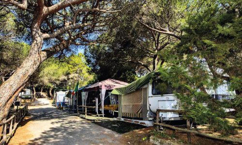 camping11